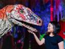 Adelaide Zoo and Illuminate Adelaide present ‘Universal Kingdom: Prehistoric Nights’